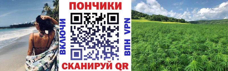 Купить где  Высоцк  МАРИХУАНА AK-47 